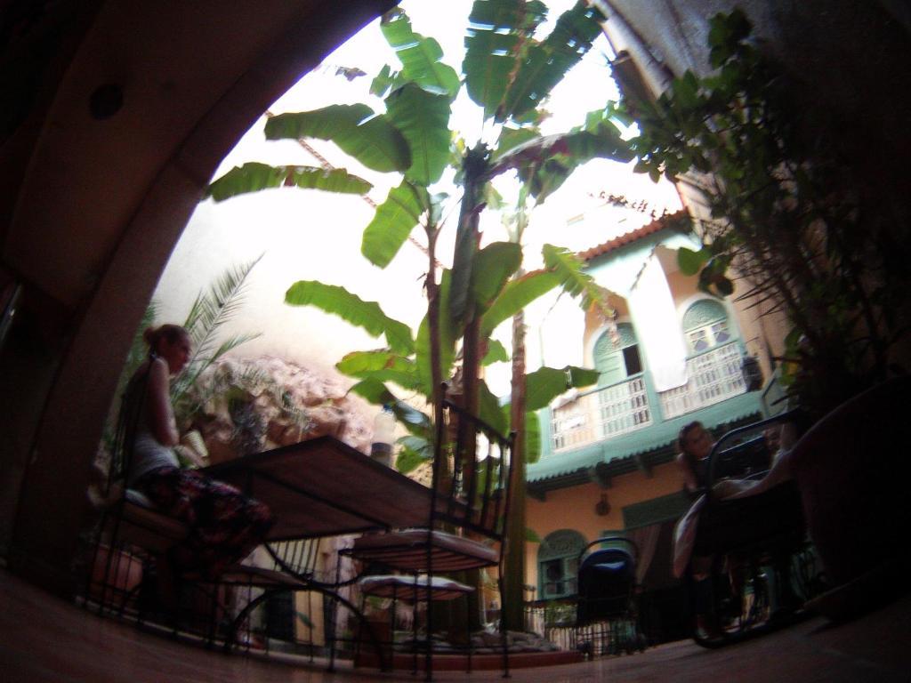 מרקש Riad Dar Mchicha מראה חיצוני תמונה