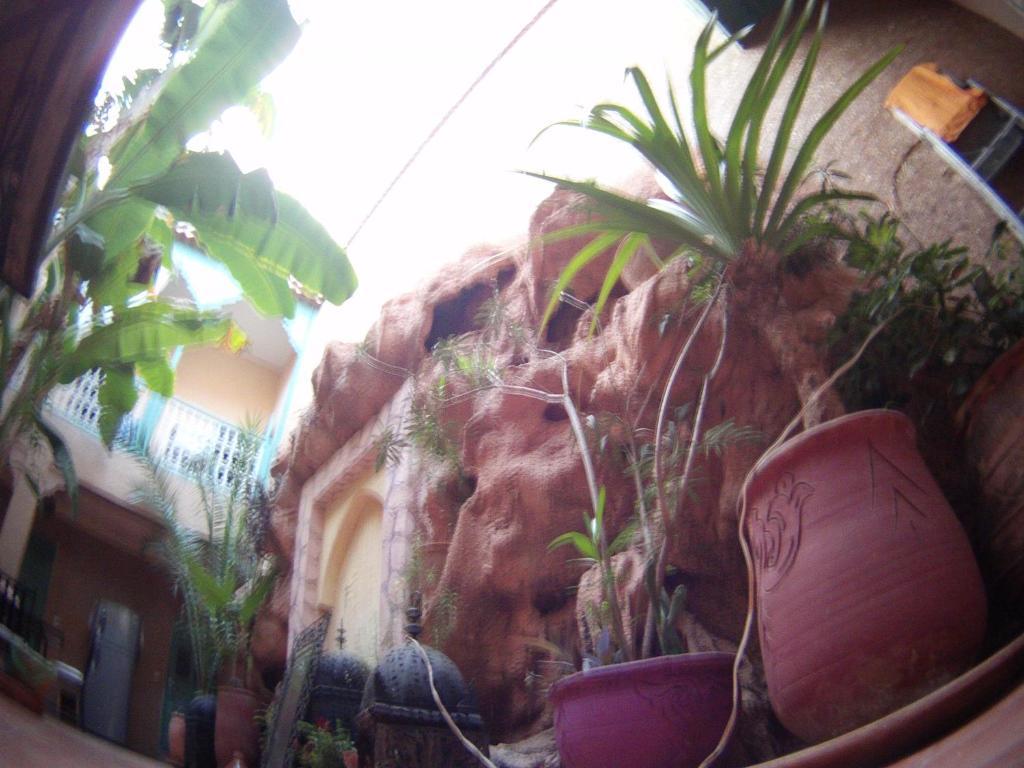 מרקש Riad Dar Mchicha מראה חיצוני תמונה