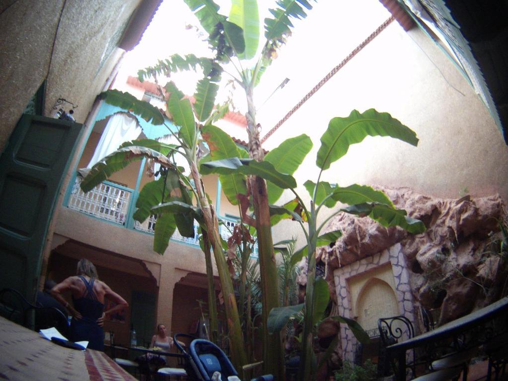 מרקש Riad Dar Mchicha מראה חיצוני תמונה