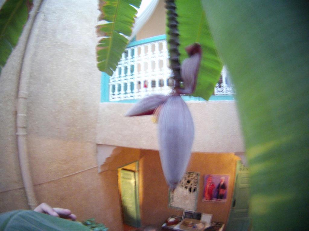 מרקש Riad Dar Mchicha מראה חיצוני תמונה