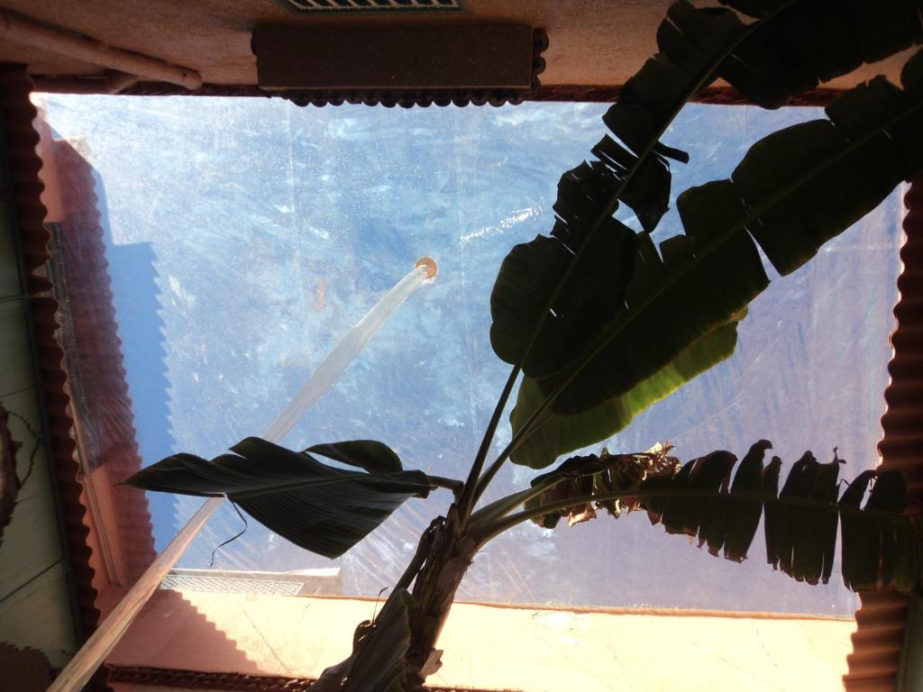 מרקש Riad Dar Mchicha מראה חיצוני תמונה